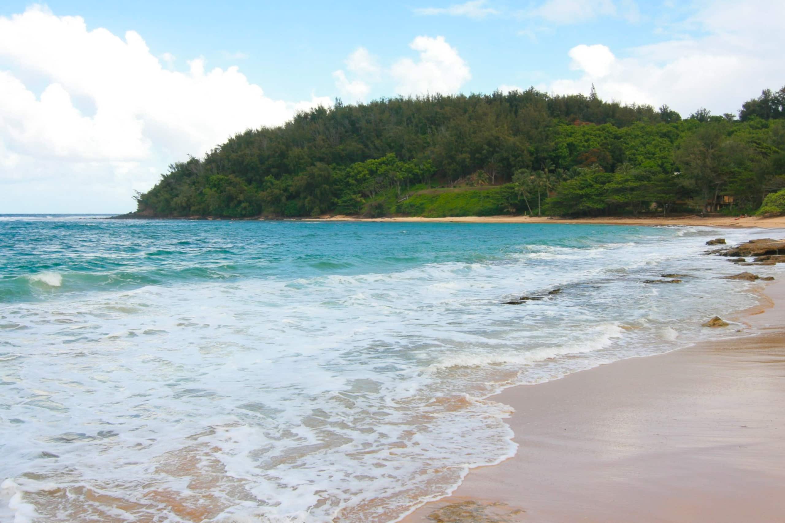 Spectacular Moloa'a Bay on the Beach - Photo 12