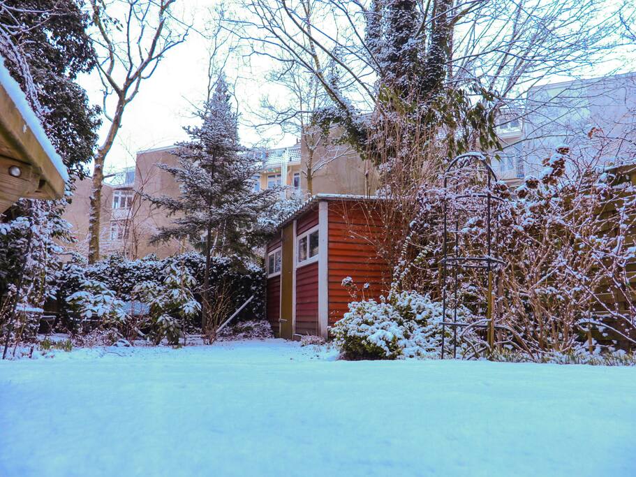 The garden in the winter.