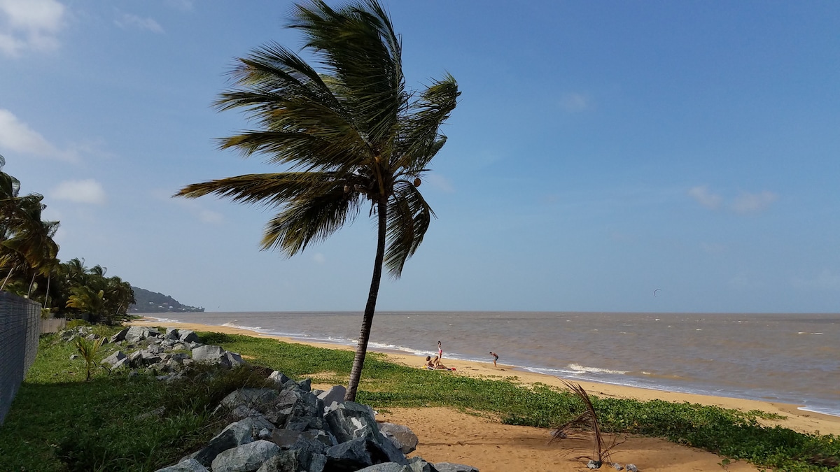 A sandy beach scene is depicted, featuring gentle waves lapping at the shore. A single palm tree sways in the breeze, with lush green vegetation lining the beach. In the distance, individuals can be seen enjoying the beach, amidst a clear blue sky with scattered clouds.