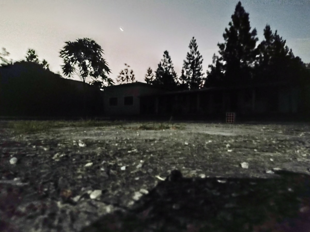 A low angle captures a gravel surface with scattered vegetation, leading towards a darkened structure in the background. Silhouettes of trees and pine-like foliage frame the scene under a twilight sky, where faint stars may be visible.