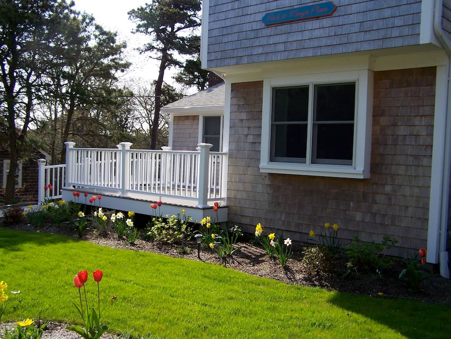 Early Spring on Cape Cod