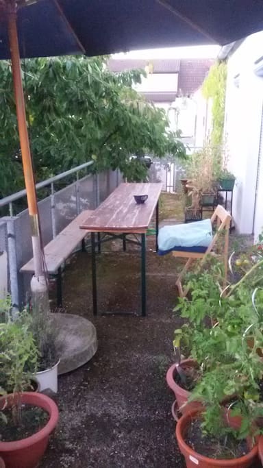 großer Balkon mit Blick auf Kirschbaum