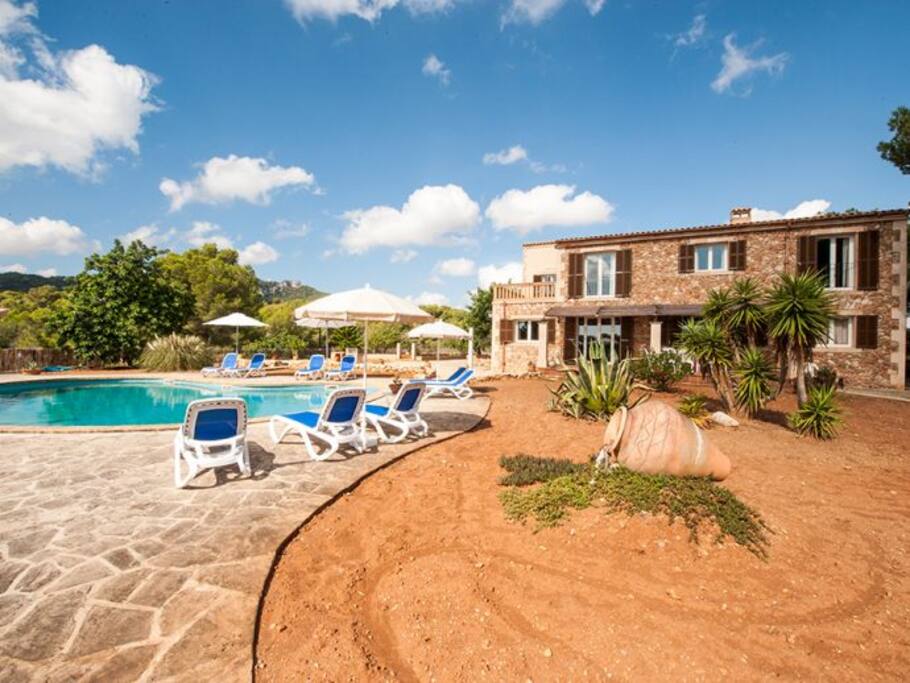 Pool with comfortable sun loungers / Garden