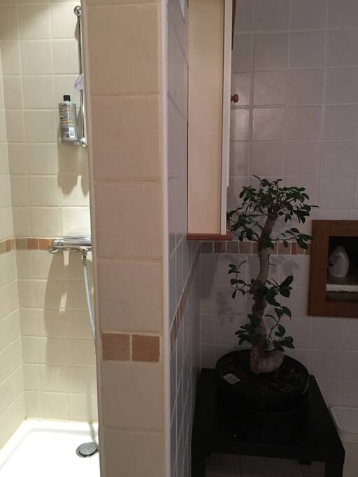 Grande douche à l’italienne