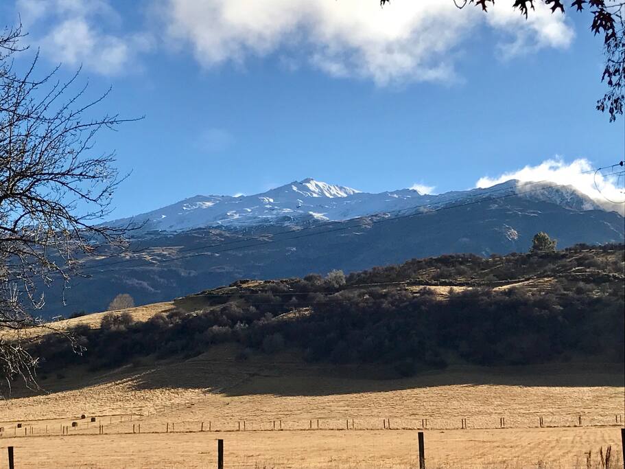 View from the house towards Coronet Peak, it changes every day