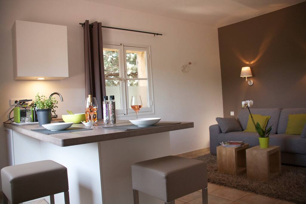 Salon et Îlot Cuisine