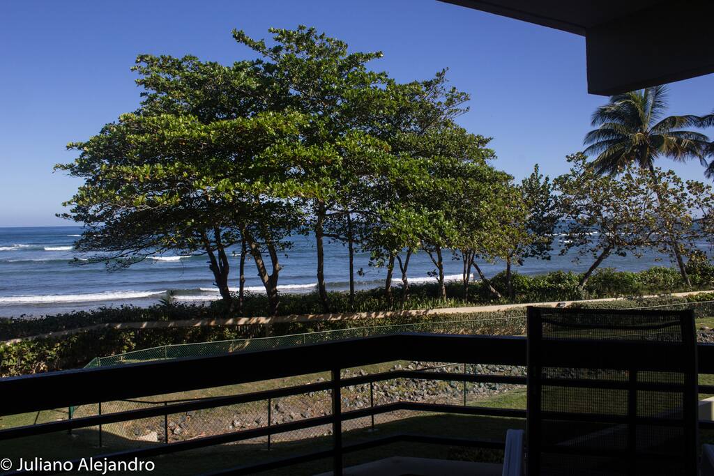 View from Balcony