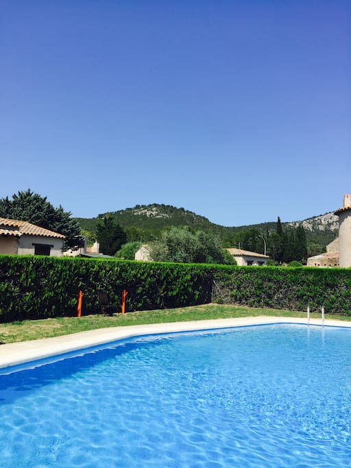 Piscina y zona ajardinada