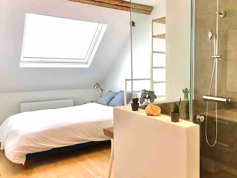 Popular Airbnb listing: Cute autonomous room in restored Brussels Mansion in Ixelles Elsene