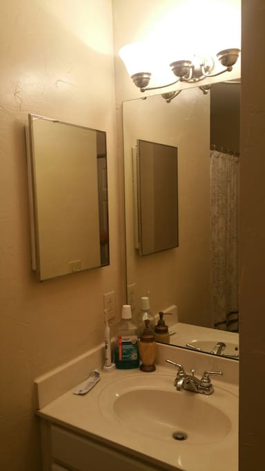 Guest bathroom