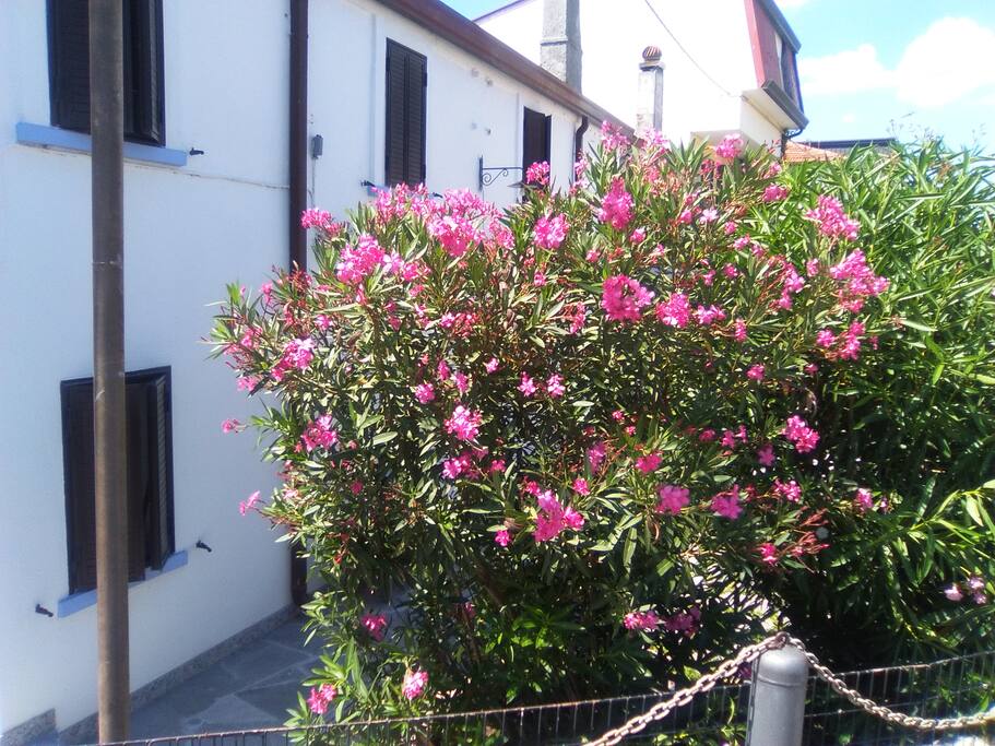 Esterno casa