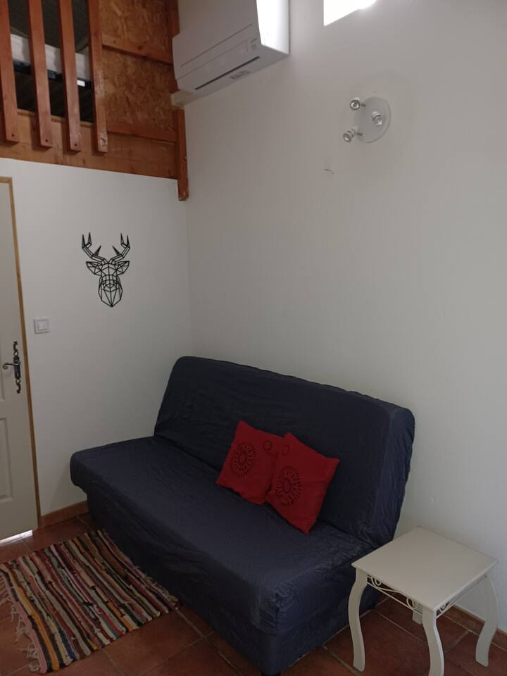 Gîte Cactus 1 à 6 Personnes - Saint-Alban-Auriolles