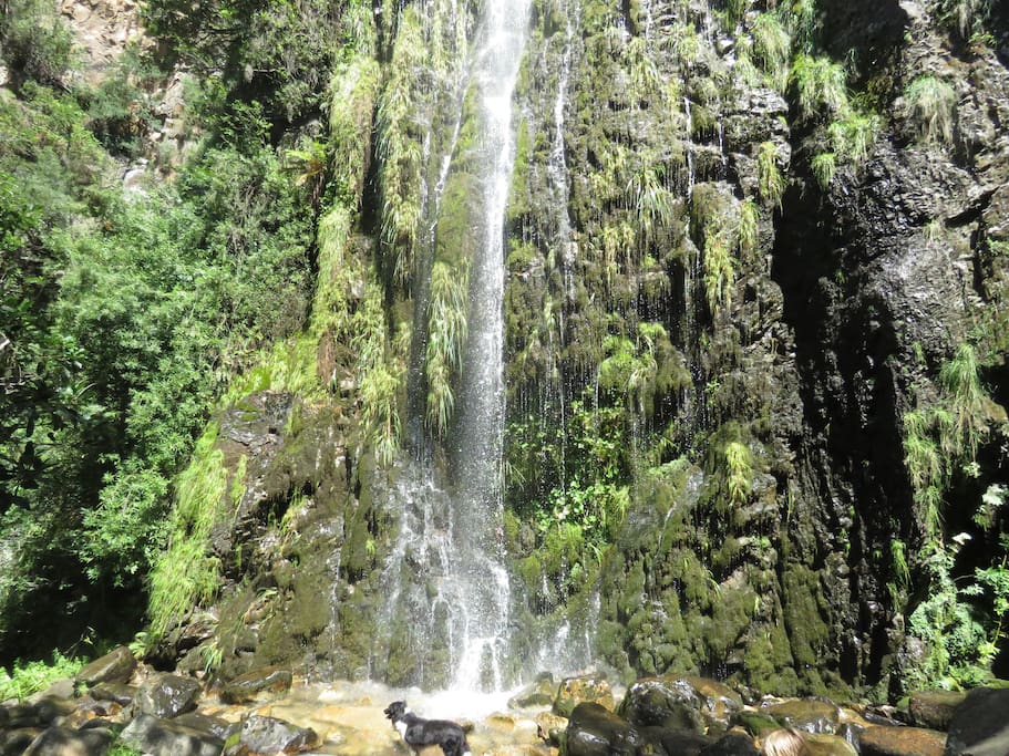 Hike to the waterfall