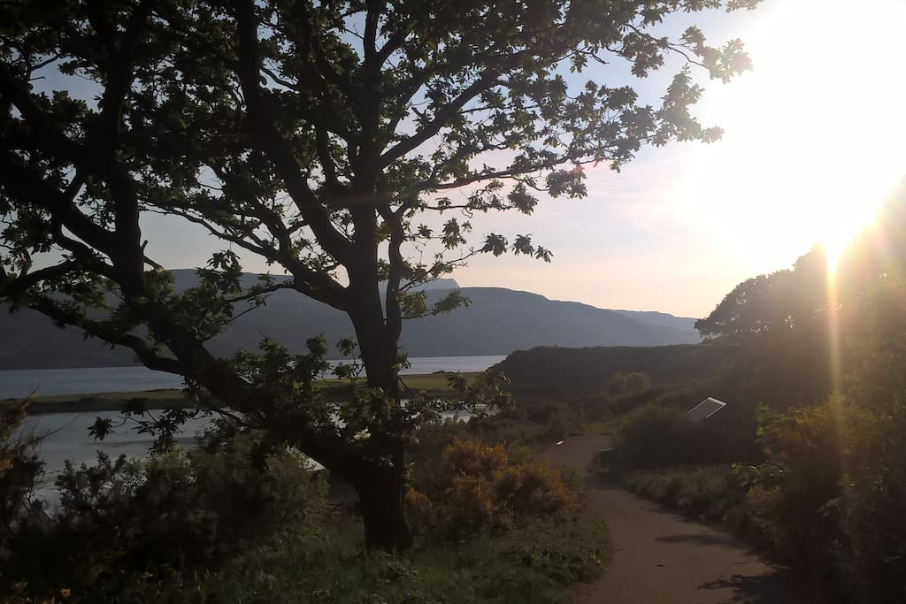 The view 40 metres from my house