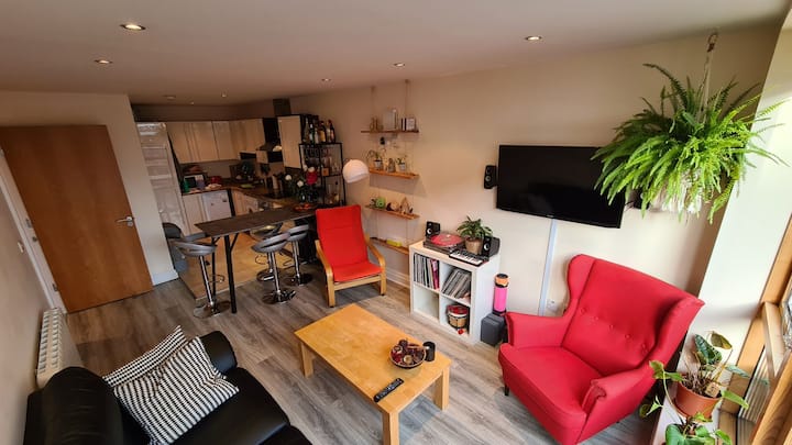 Lovely Bedroom/ensuite Dublin City Center - Dublin