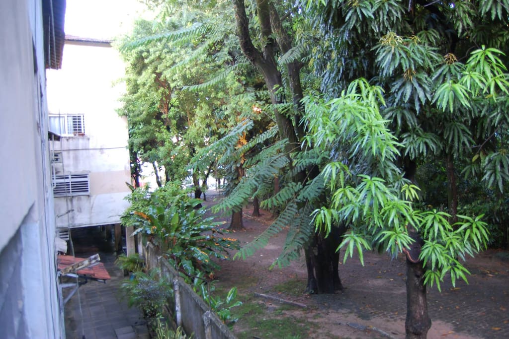 Vista para o Sítio da Trindade