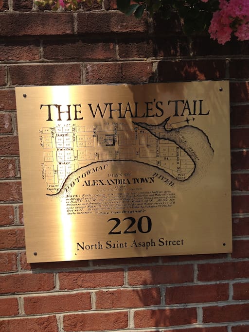 Complex is called The Whale's Tale!