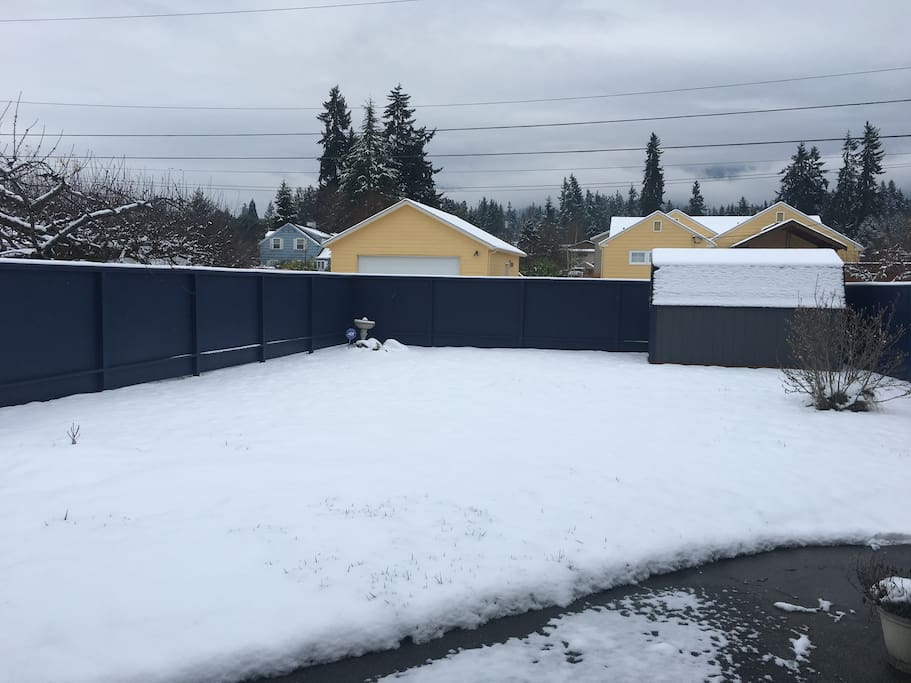 Backyard