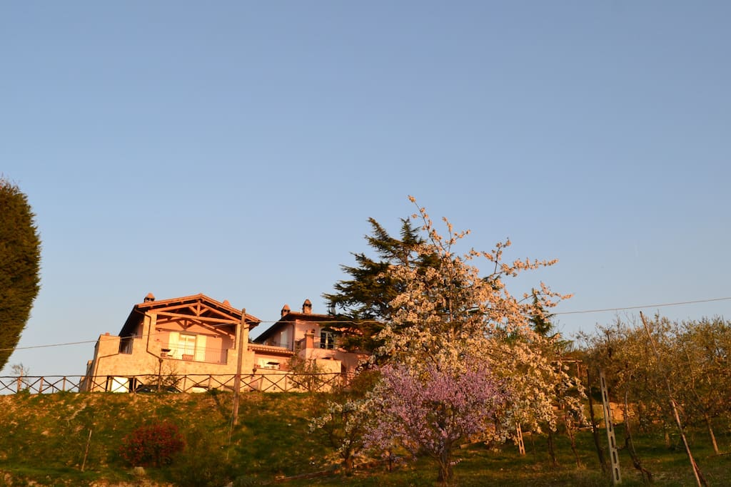 theview of the farmhouse