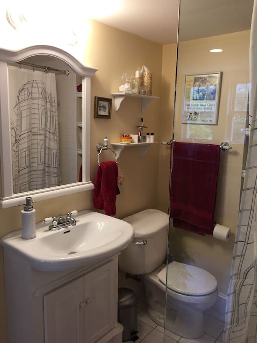 Shared bathroom. Private door access from guest room.