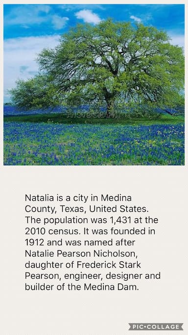 City of Natalia