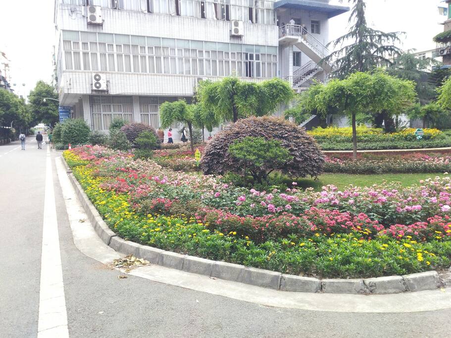 小区环境