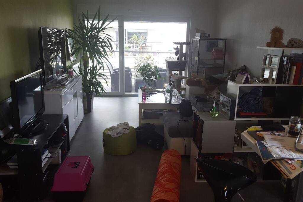 Salon