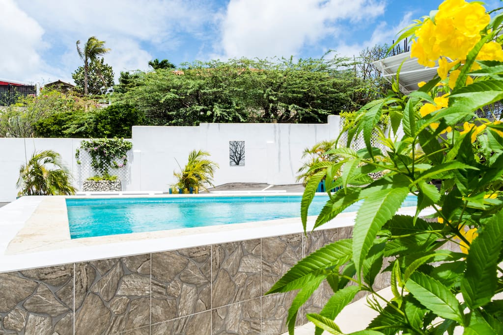Pool area