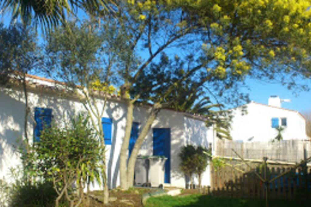 arrière jardin