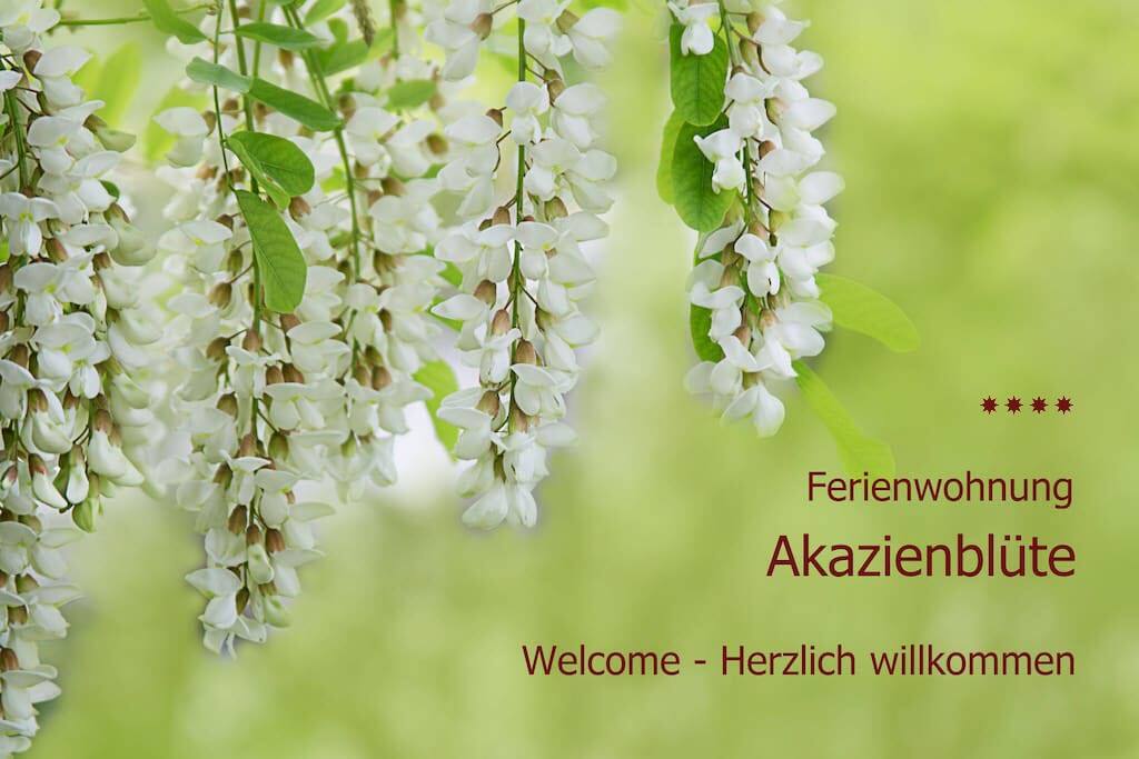 Herzlich willkommen!