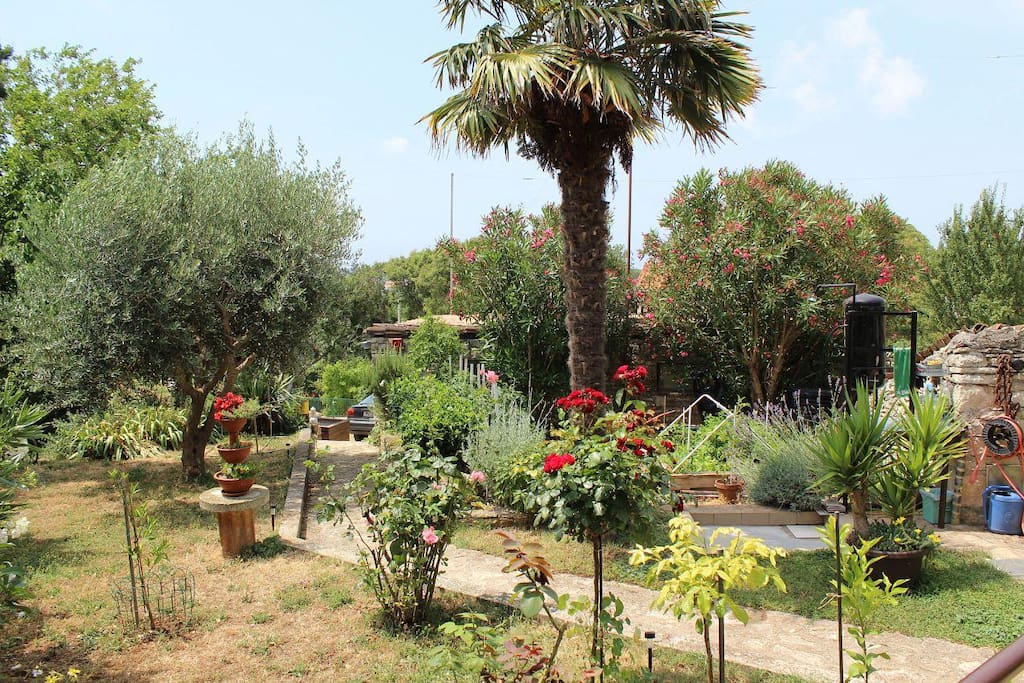 courtyard