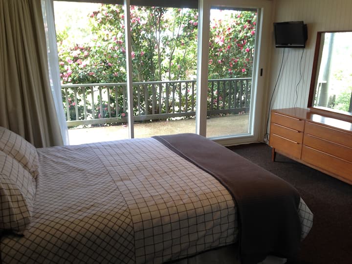 Downstairs queen bedroom