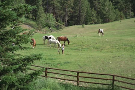 pass trail lost rentals vacation superhost guesthouse entire