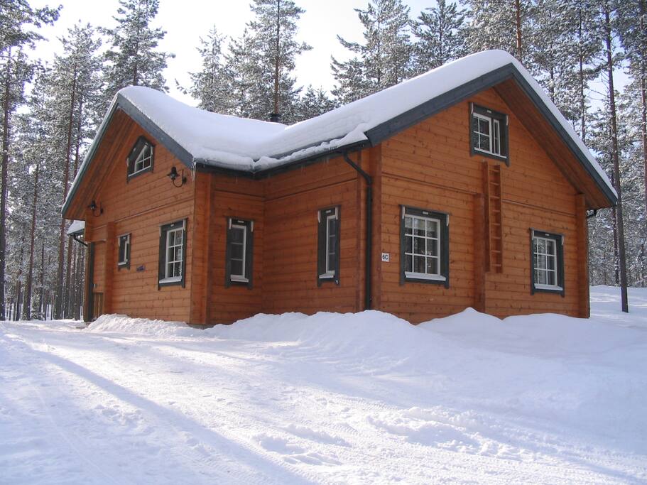 Luistokas in winter