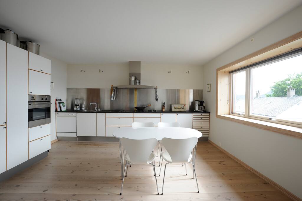 Kitchen with Induction and gas hob