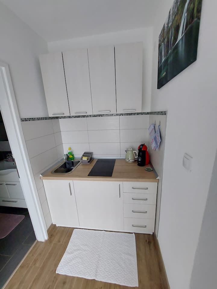 Studio Apartman Marta - Korenica