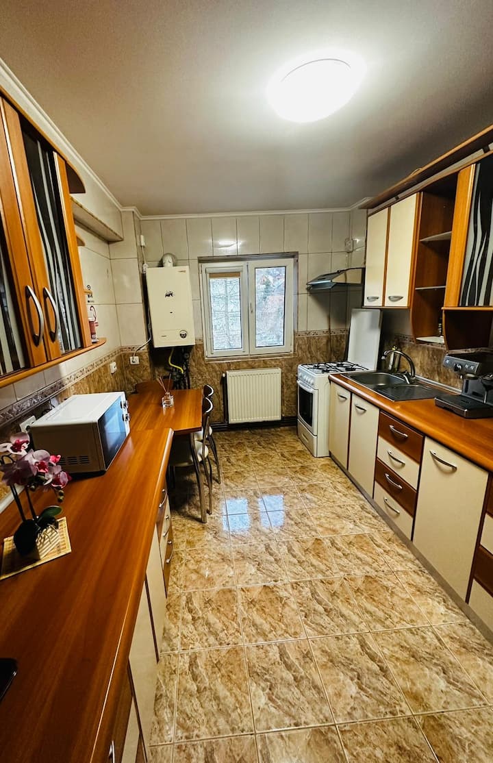 Eilin Apartament - Azuga