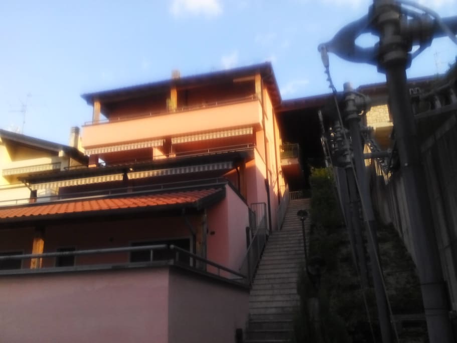 the house