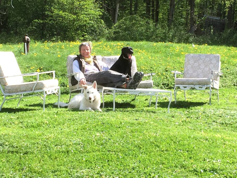 Relax in the fenced in back yard