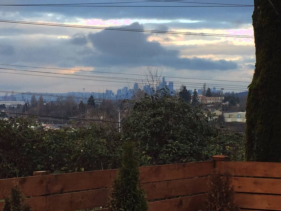 Skyline & Space Needle View