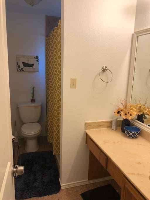 Guest Bathroom