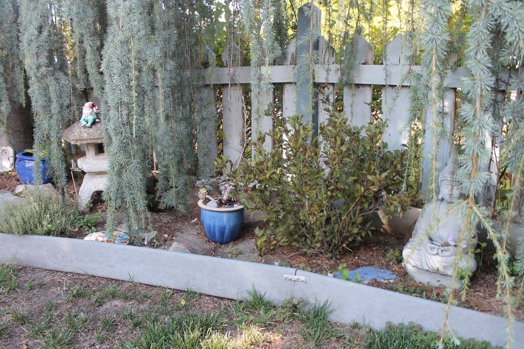 front yard space