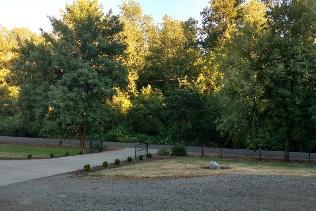 View from front porch of guesthouse