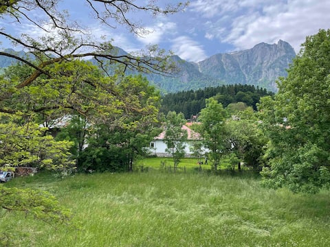 Villa Forrest Bușteni
