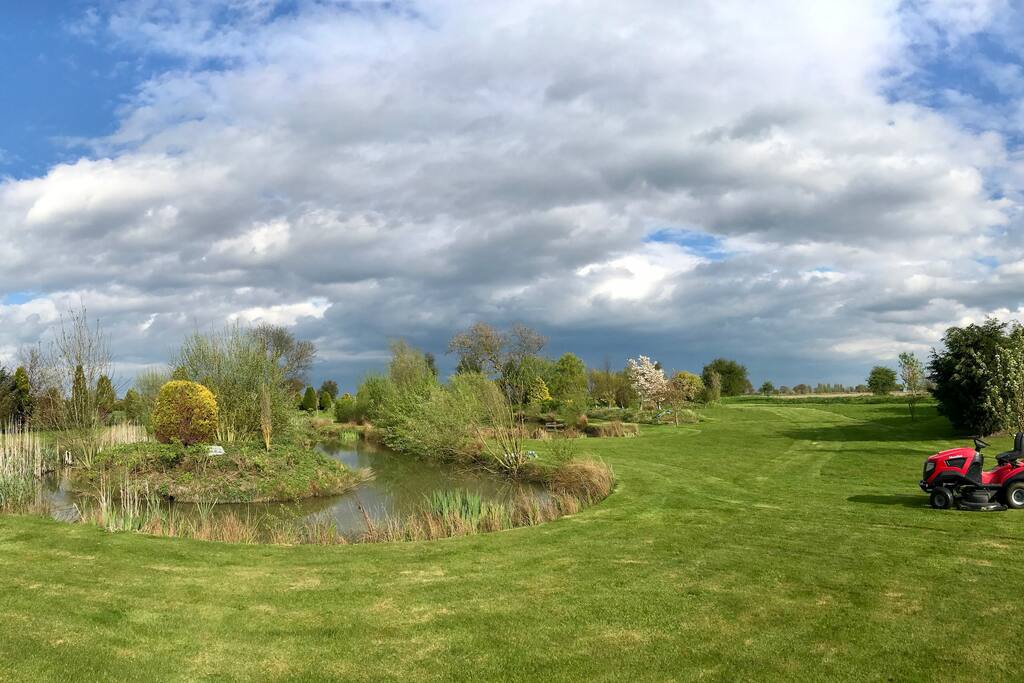 The garden