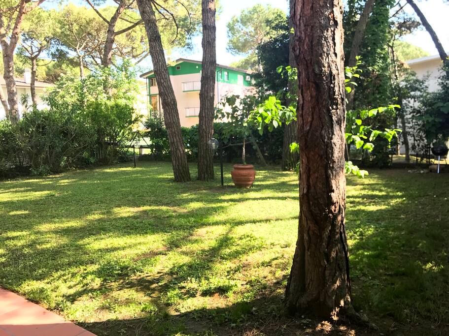 Giardino