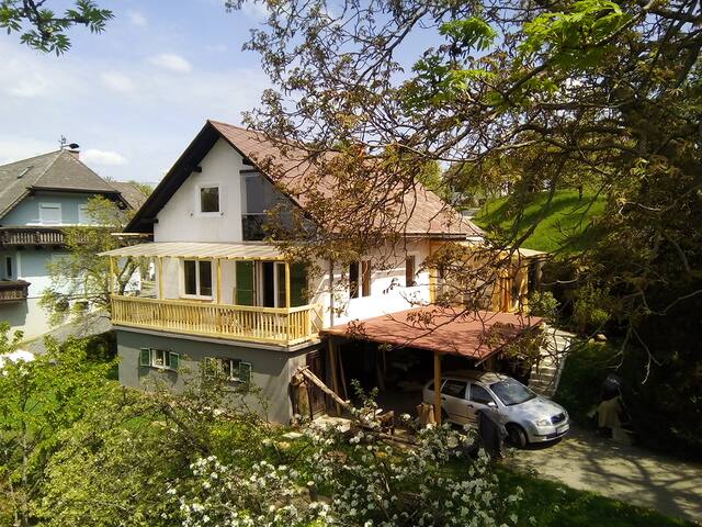 Singles treffen kostenlose partnersuche in wien aus wels-land. Single mann Partnersuche meine stadt tribuswinkel. Singletreff kostenlos in sankt dionysen. Kostenlose partnersuche in wien, Single freizeit treff in gablitz