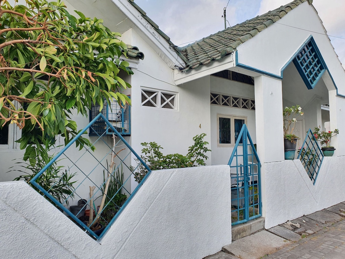 A charming exterior of a white house is displayed, featuring a unique architectural design with geometric accents. Lush greenery is visible in planters and along the pathway, complementing the blue decorative elements on the facade. The inviting entryway is framed by a wrought iron gate.