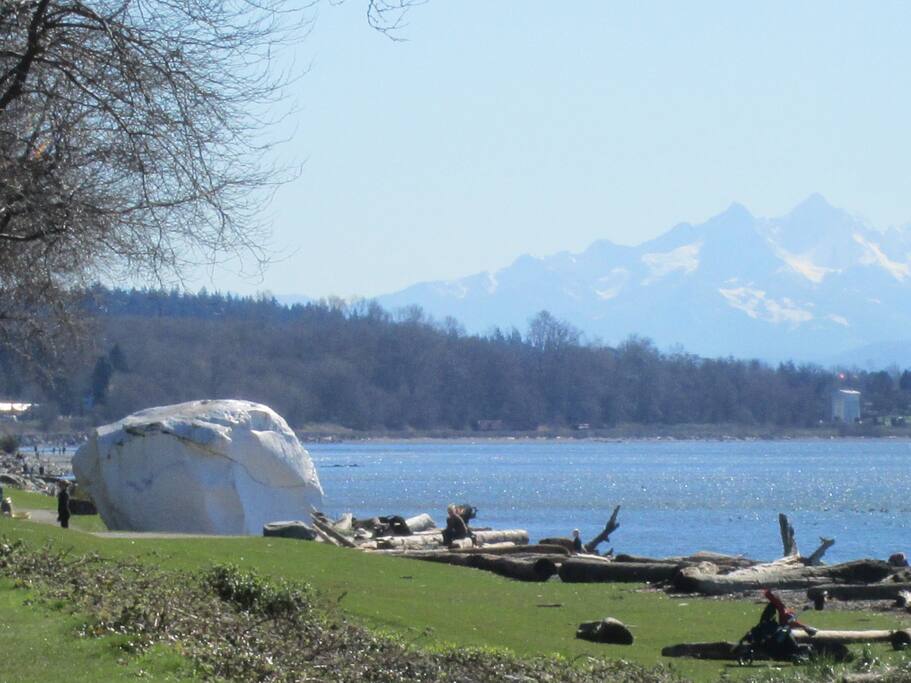 Beautiful White Rock beach