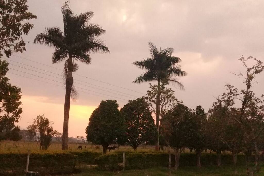 Nada como la tranquilidad!!!!